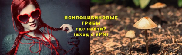 apvp Нефтегорск