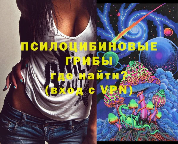 хмурый Нефтекумск