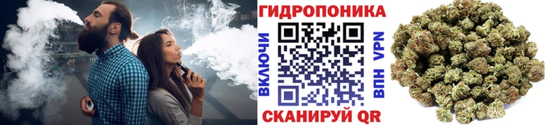 darknet наркотические препараты  Рыльск  Шишки марихуана планчик  где купить  
